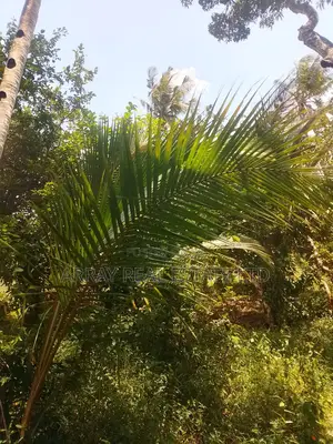 Shamba la Eka 5 na Nyumba ya Shamba Kitambala, Mombasa