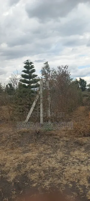 Kitengela 50x100 Residential Plot for Sale