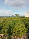 Nusu Eka ya Kiwanja cha Pwani kwa Mauzo Mayungu, Malindi - 2