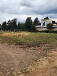 Vipande vya 1/8 Eka Makazi Vinauzwa, Ngong-Kibiko (Ole Montet) - 3
