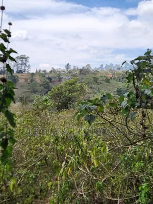 Ngong-Kahara Eka 15 za Matumizi Mchanganyiko