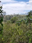 Ngong-Kahara Eka 15 za Matumizi Mchanganyiko - 1
