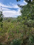 Ngong-Kahara Eka 15 za Matumizi Mchanganyiko - 2