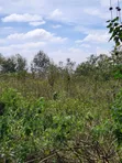 Ngong-Kahara Eka 15 za Matumizi Mchanganyiko - 4