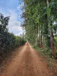 Ngong-Kahara Eka 15 za Matumizi Mchanganyiko - 5