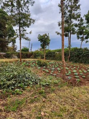 Kitalu cha Makazi cha 1/8 Acre kwa Uuzaji Ngong-Bondeni
