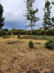 Kitalu cha Makazi cha 1/8 Acre kwa Uuzaji Ngong-Bondeni - 2