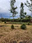 Kitalu cha Makazi cha 1/8 Acre kwa Uuzaji Ngong-Bondeni - 3