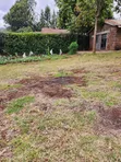 Kitalu cha Makazi cha 1/8 Acre kwa Uuzaji Ngong-Bondeni - 4
