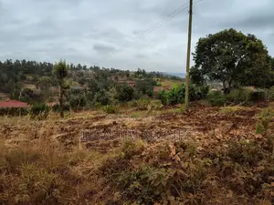 Nusu Eka Ardhi Inauzwa, 1km kutoka Quiver