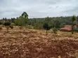 Nusu Eka Ardhi Inauzwa, 1km kutoka Quiver - 4