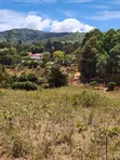 Eneo la 1/2 Acre Barabara ya Ngong-Kahara Linauzwa - 1