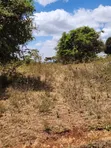 Eneo la 1/2 Acre Barabara ya Ngong-Kahara Linauzwa - 2