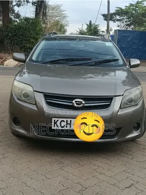 Toyota Corolla Fielder 2010 Grey