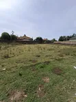 Kiwanja Prime 50x100 Kinauzwa Kiamunyi, Nakuru - 4