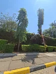 Maisonette ya Vyumba 4 vya Kulala Kupangishwa Muthaiga North - 1