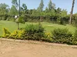 4-Bedroom Bungalow for Sale in Kibos, Chiga - 2