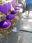 Kiti cha Baa Nyeupe Mpya - 2
