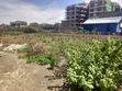 Plot for Sale in Pipeline, Nairobi - 1