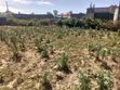 Plot for Sale in Pipeline, Nairobi - 5